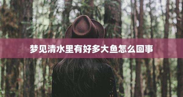 梦见清水里有好多大鱼怎么回事