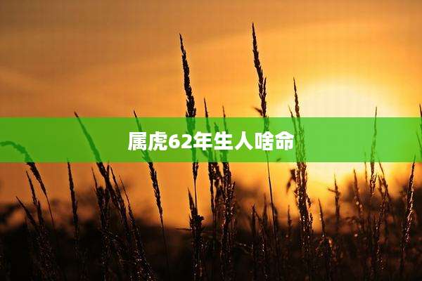 属虎62年生人啥命