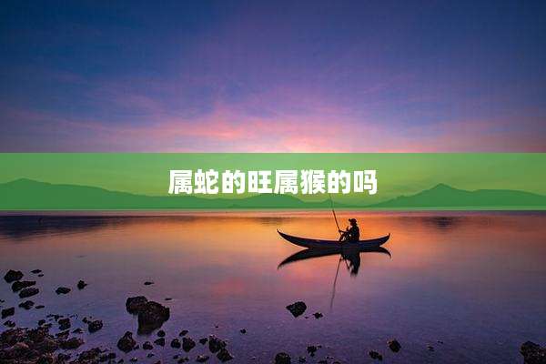 属蛇的旺属猴的吗