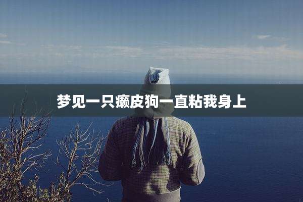 梦见一只癞皮狗一直粘我身上