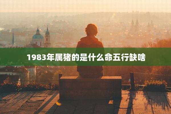 1983年属猪的是什么命五行缺啥