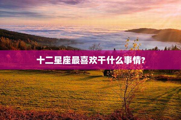十二星座最喜欢干什么事情?