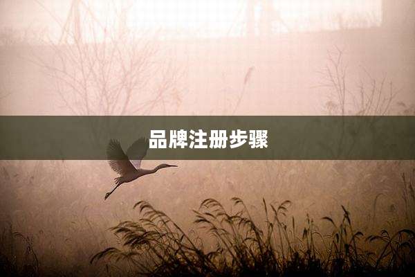 品牌注册步骤
