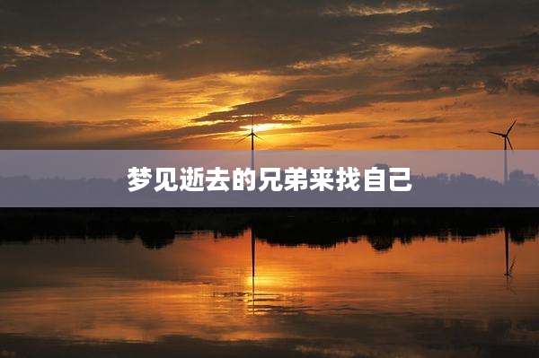 梦见逝去的兄弟来找自己