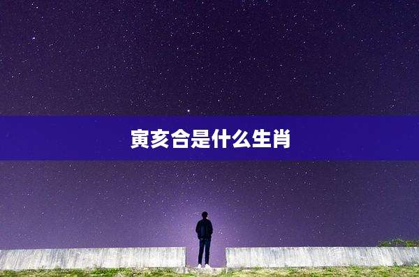 寅亥合是什么生肖