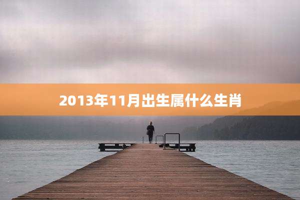 2013年11月出生属什么生肖
