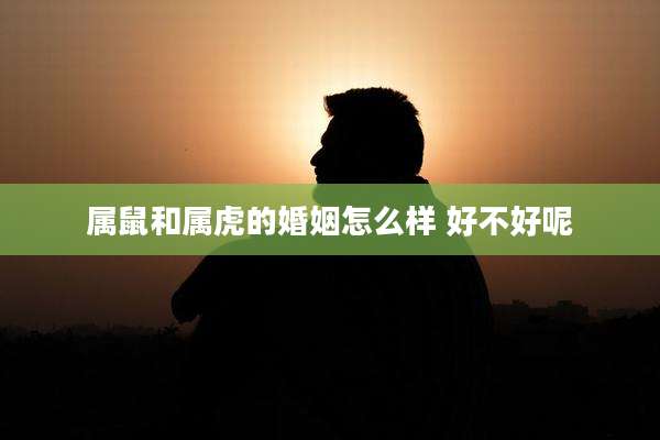 属鼠和属虎的婚姻怎么样 好不好呢