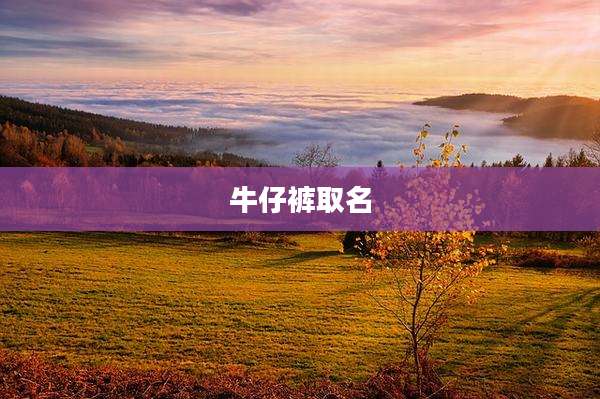 牛仔裤取名