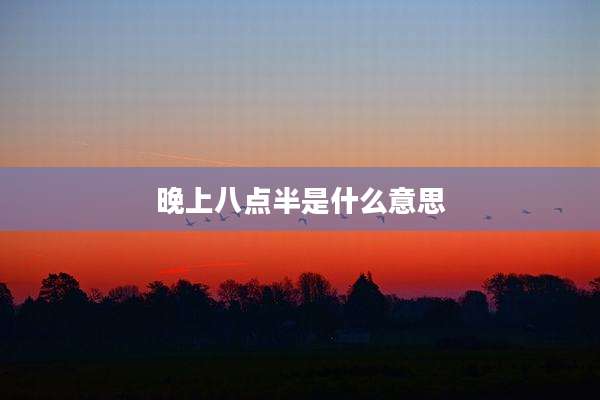 晚上八点半是什么意思