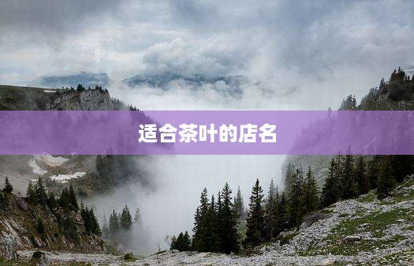 适合茶叶的店名