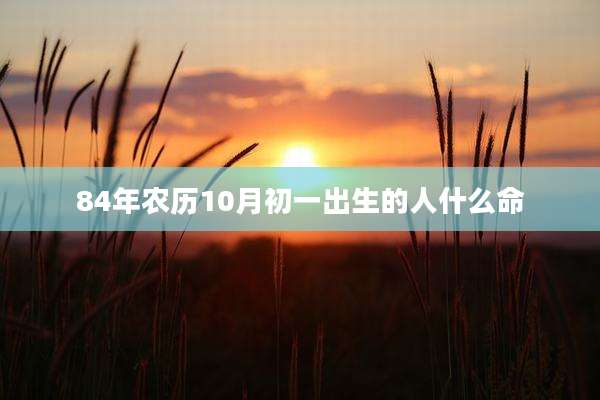 84年农历10月初一出生的人什么命