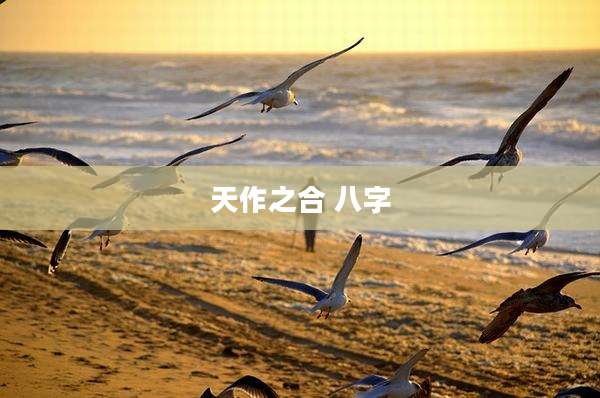 天作之合 八字