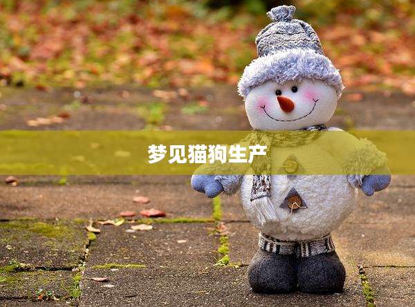 梦见猫狗生产
