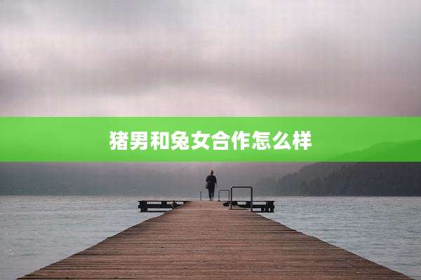 猪男和兔女合作怎么样