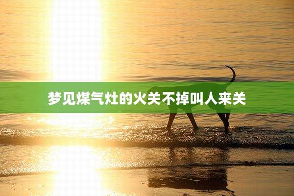 梦见煤气灶的火关不掉叫人来关