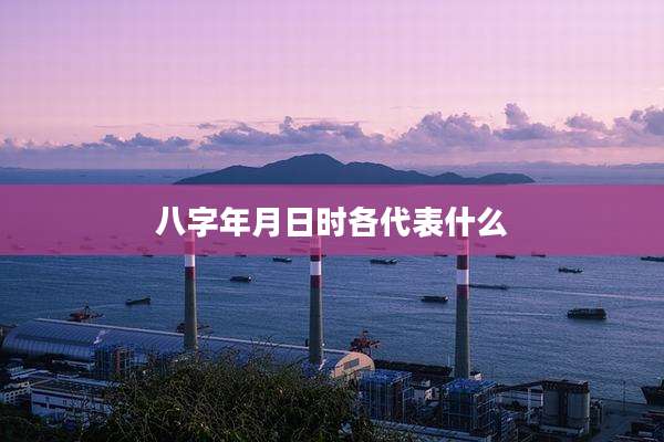 八字年月日时各代表什么