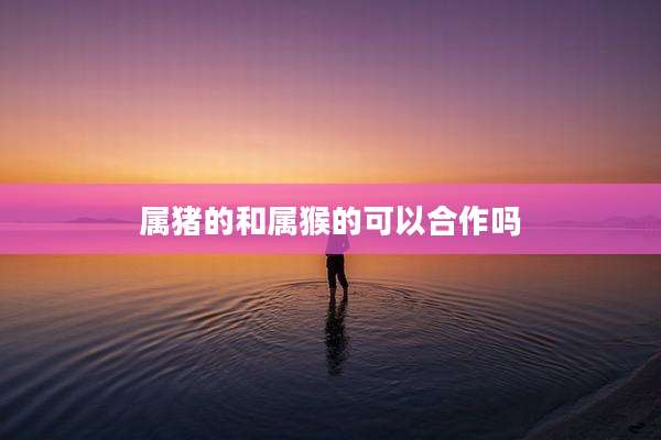 属猪的和属猴的可以合作吗