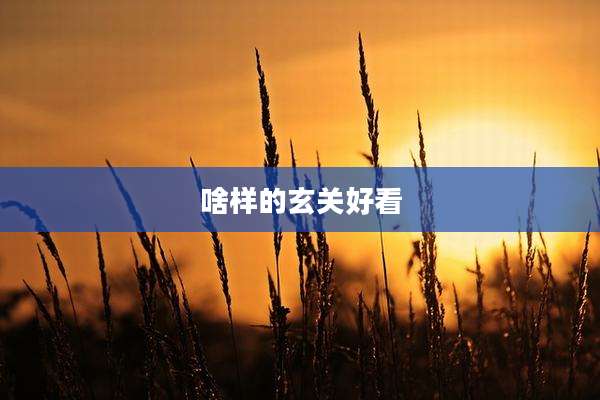 啥样的玄关好看