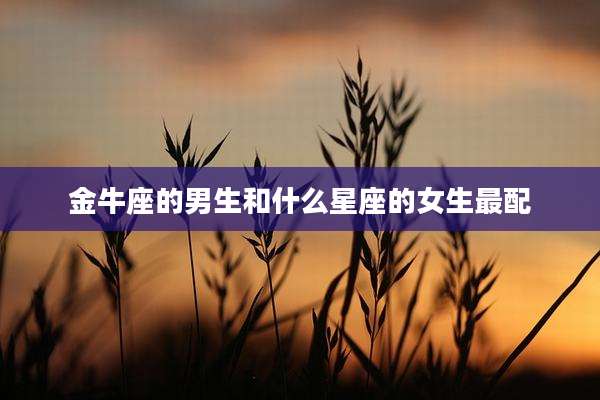 金牛座的男生和什么星座的女生最配
