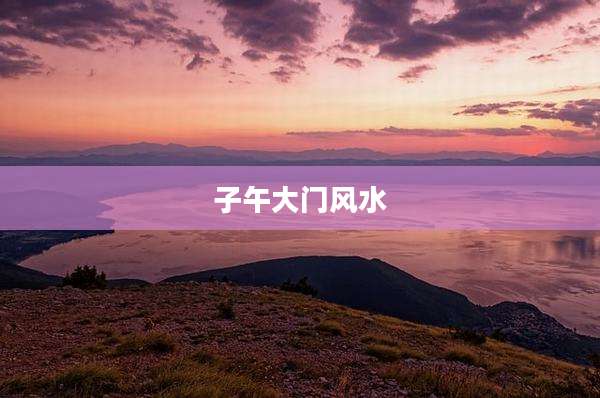 子午大门风水