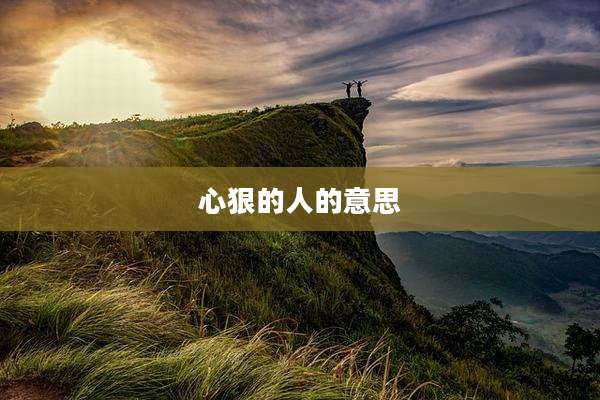 心狠的人的意思