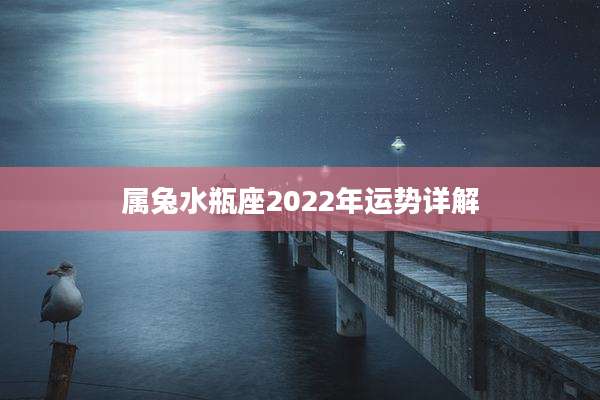 属兔水瓶座2022年运势详解