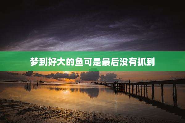 梦到好大的鱼可是最后没有抓到
