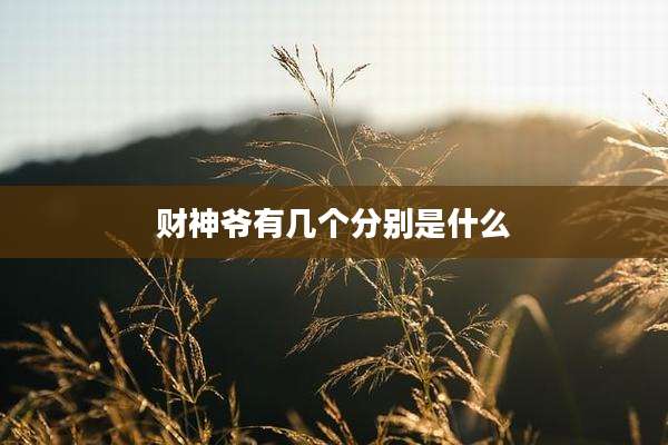 财神爷有几个分别是什么