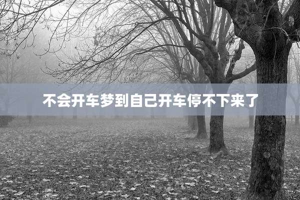 不会开车梦到自己开车停不下来了