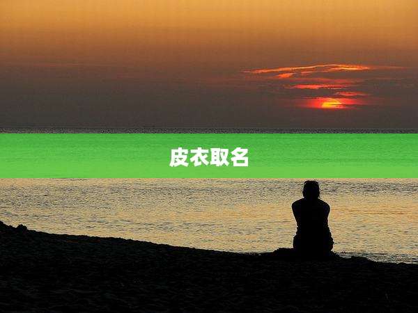 皮衣取名