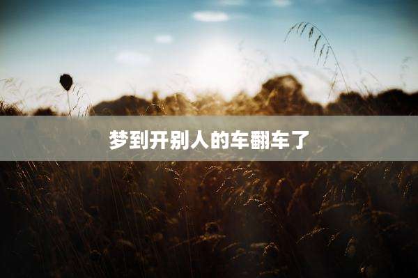 梦到开别人的车翻车了