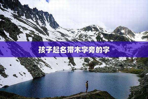 孩子起名带木字旁的字