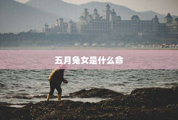 五月兔女是什么命
