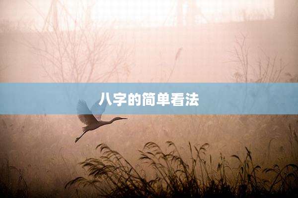 八字的简单看法