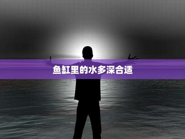 鱼缸里的水多深合适