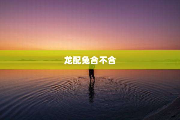 龙配兔合不合
