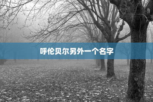 呼伦贝尔另外一个名字