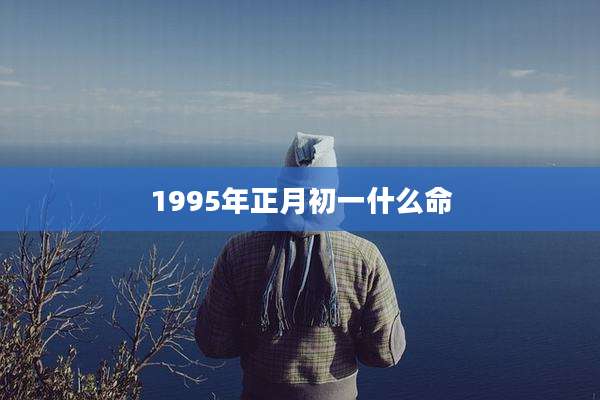 1995年正月初一什么命