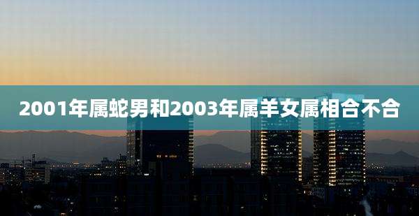2001年属蛇男和2003年属羊女属相合不合