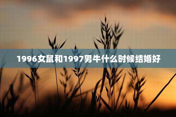 1996女鼠和1997男牛什么时候结婚好