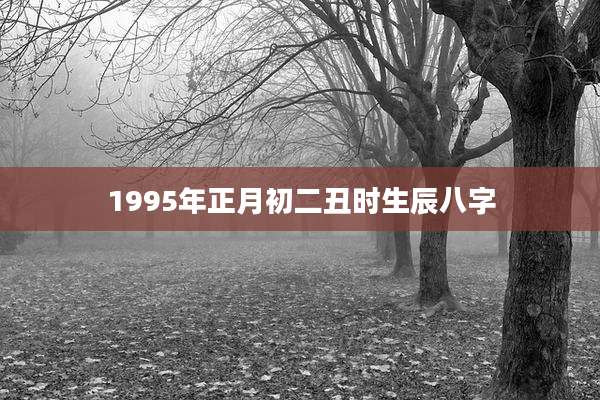 1995年正月初二丑时生辰八字