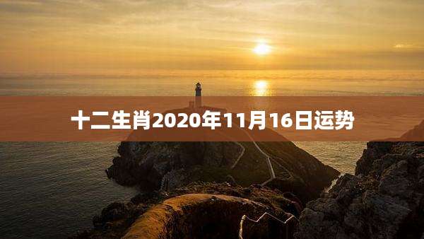 十二生肖2020年11月16日运势