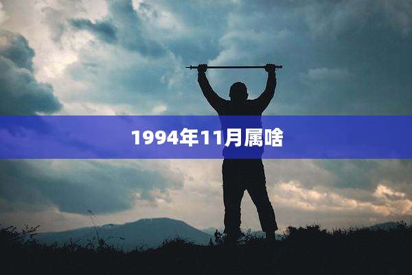 1994年11月属啥