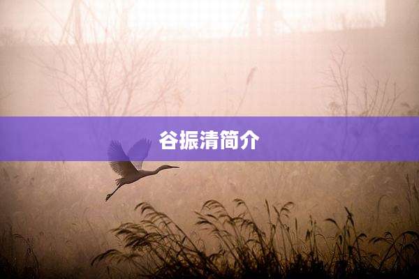 谷振清简介