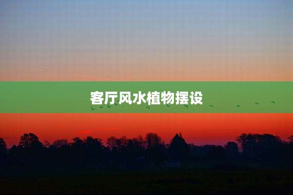 客厅风水植物摆设