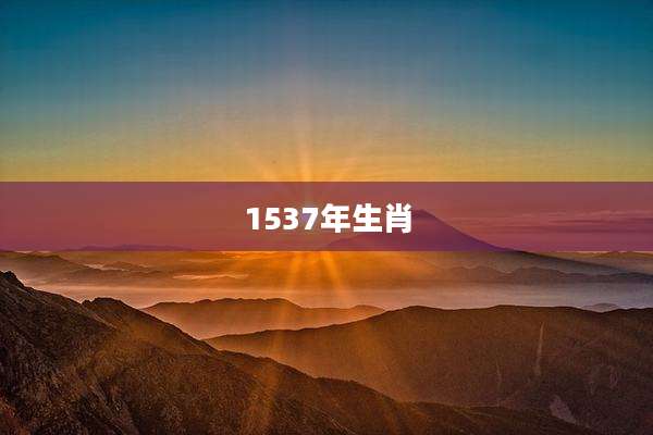 1537年生肖