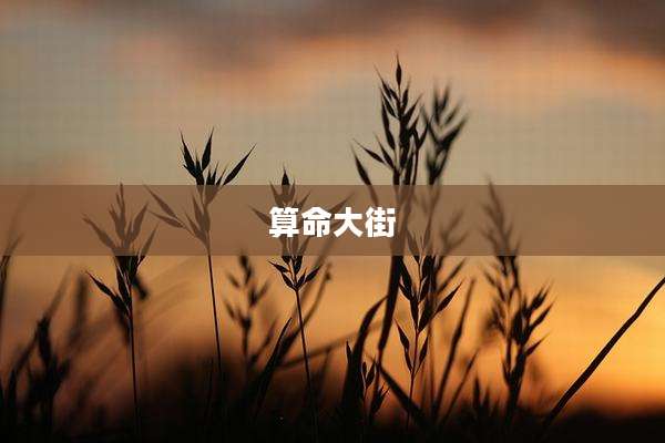 算命大街