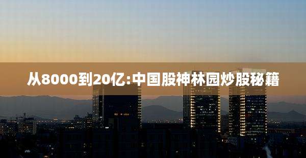 从8000到20亿:中国股神林园炒股秘籍