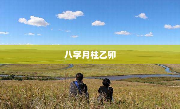 八字月柱乙卯