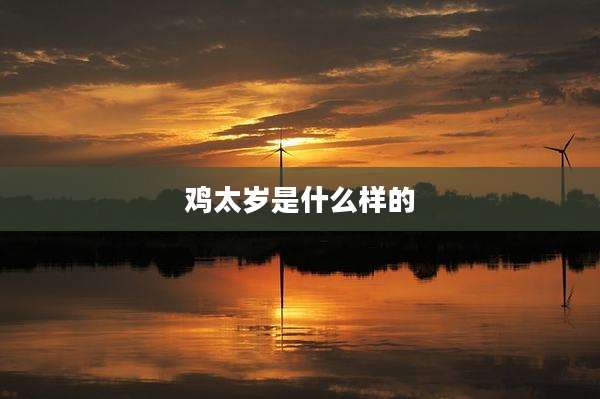 鸡太岁是什么样的